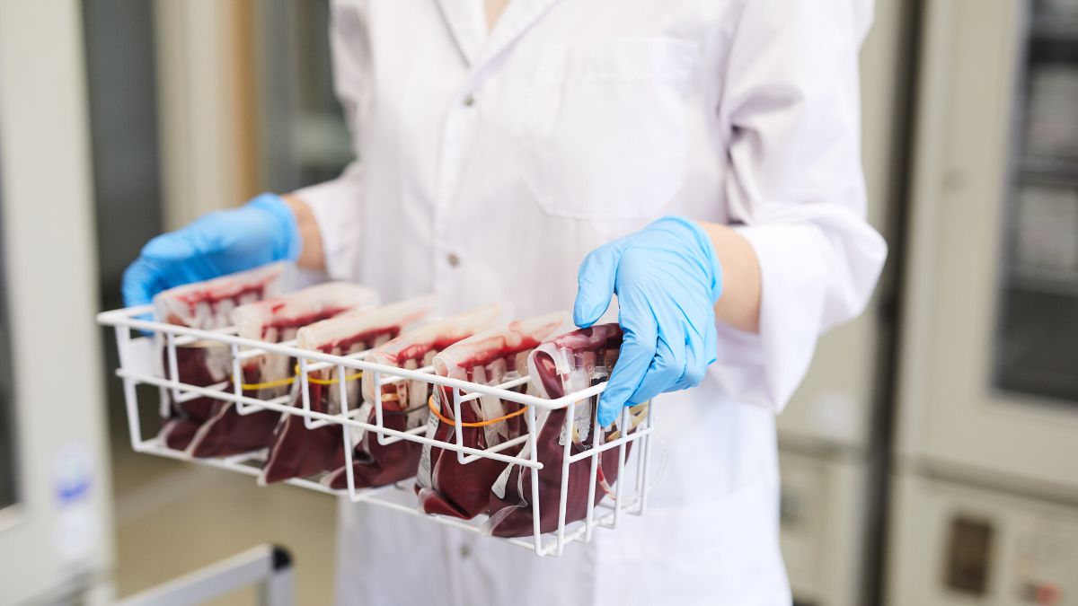Sangue cultivado em laboratório já está sendo testado.