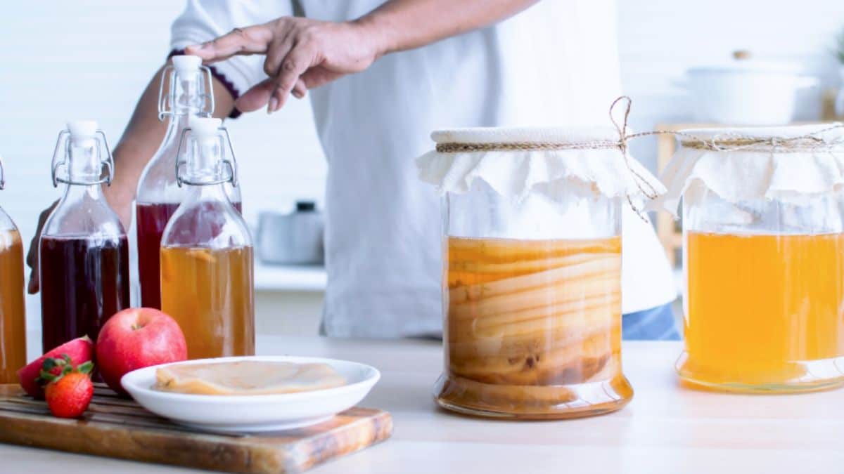 Kombucha: componentes e benefícios!