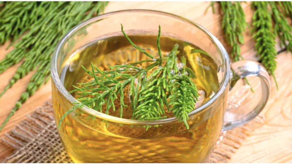 As plantas medicinais e as infeções urinárias.