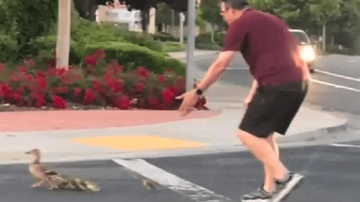 Internautas doam mais de 800 mil para família de homem que morreu para salvar patinhos.