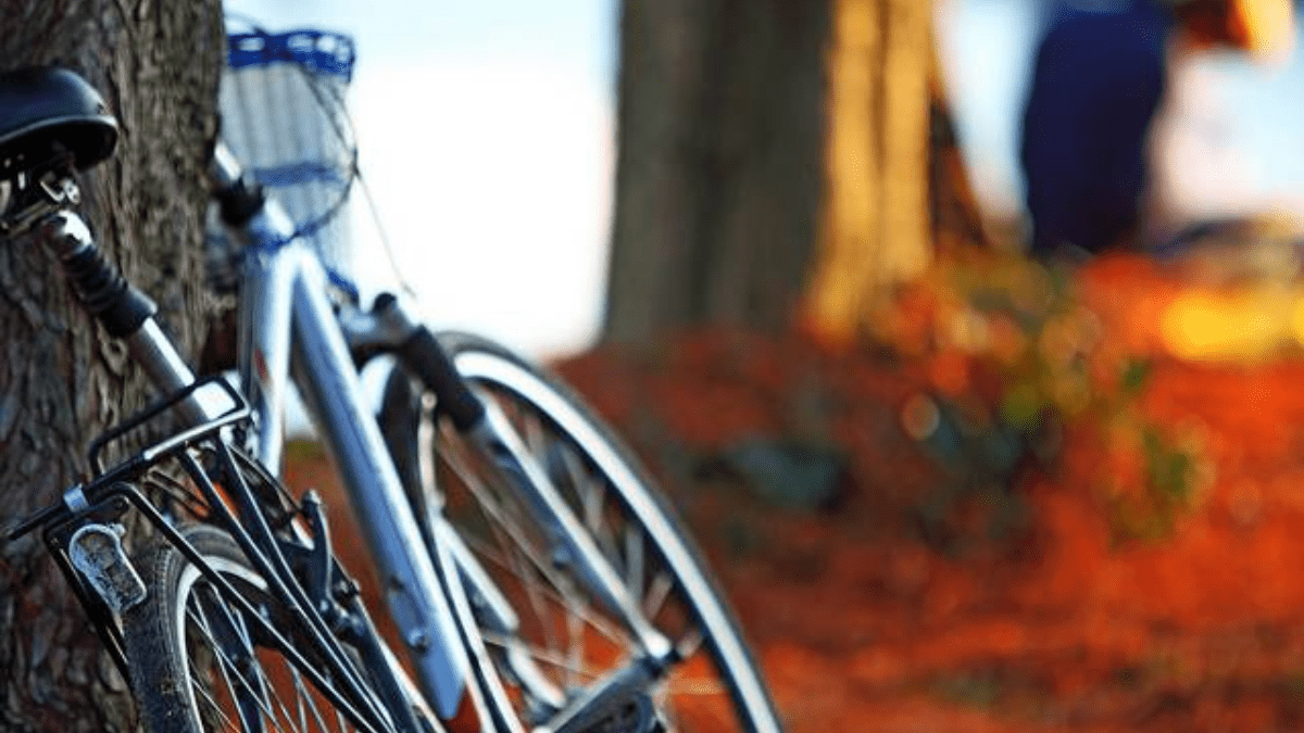 Conheça o `Encantador de Bicicletas´ que recupera bicicletas roubadas e muda a vida dos ladrões.