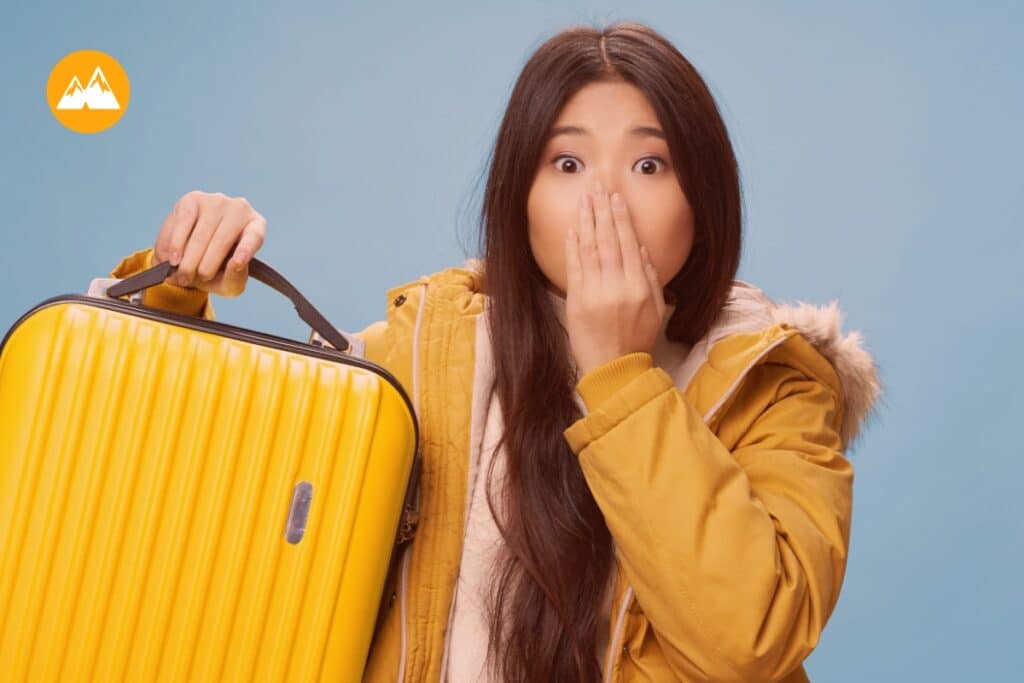 bagagem de mão canva