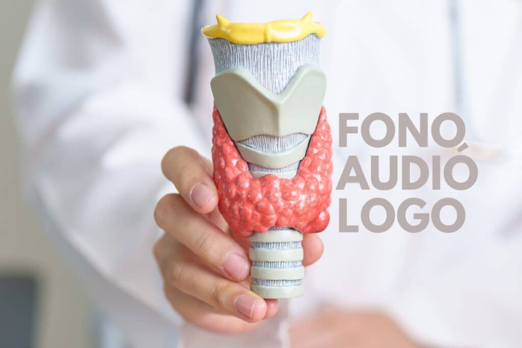 fonoaudiologia