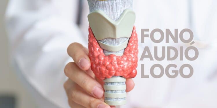 fonoaudiologia