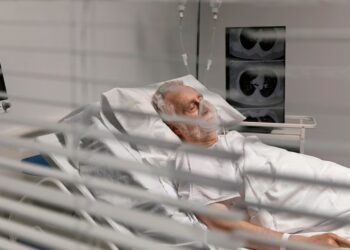 Imagem - Bestofweb/Freepik