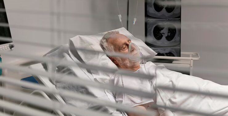 Imagem - Bestofweb/Freepik