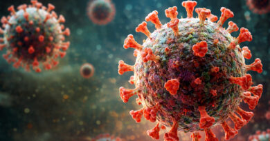 Casos de Nipah na Índia reacendem alerta sanitário Vírus Nipah